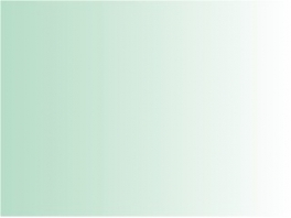 P207 Patine vert de gris 30ml
