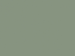P1045 Vert olive clair (RGP) (SNCF 314) 30ml