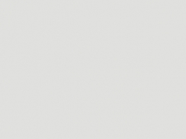 P1062 Gris STVA 30ml