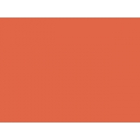 P1069 rouge brique orangé MAT 30ml