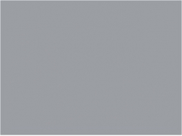 P178 Gris argent métallisé (SNCF 803)  30ml