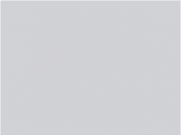 P146 Gris ciment (SNCF 804)  30ml